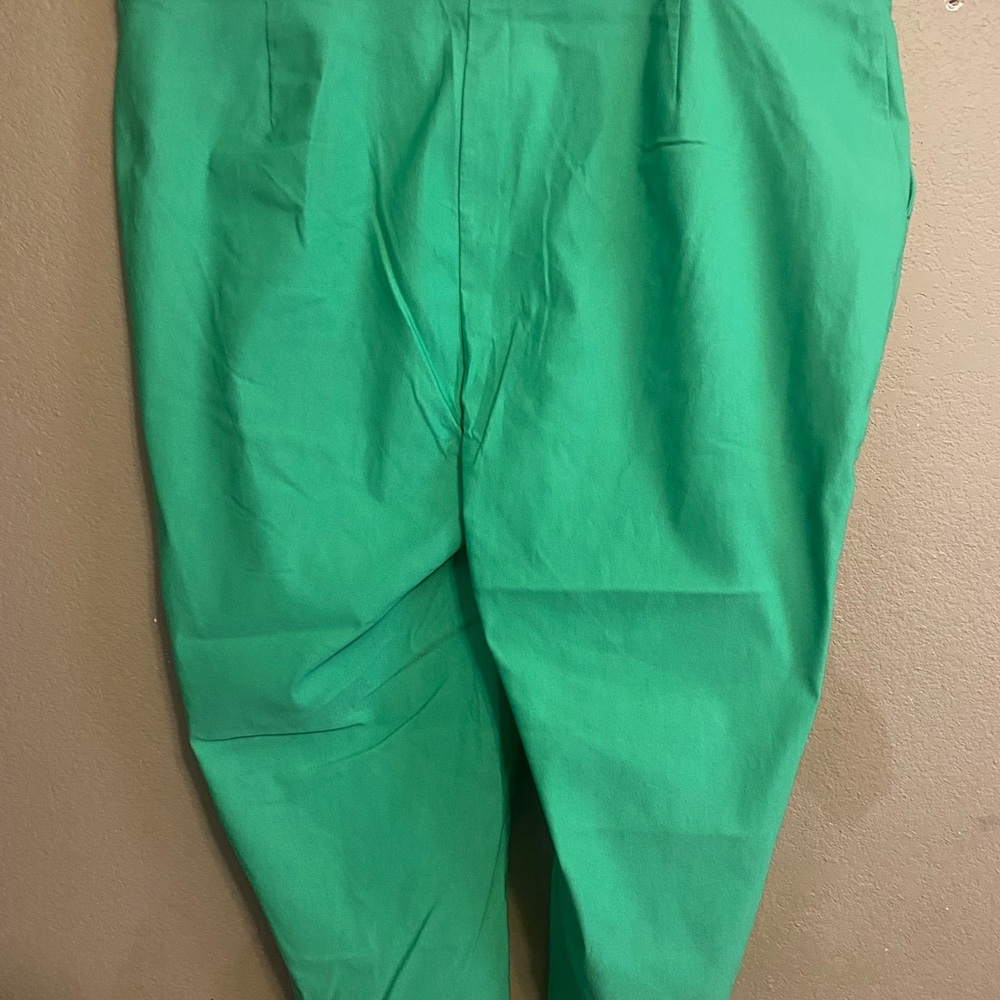 Rafael’s Women Size 18 Stretch Comfort Green Cropped Pants - Picture 7 of 10